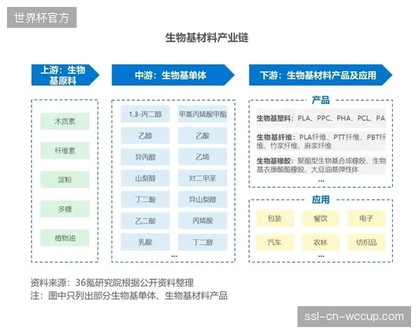 福建莆田的体育装备产业集群，如何在生物基材料的浪潮中，避免陷入新一轮的同质化内卷？